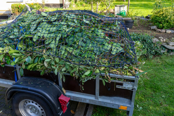 Trusted Havana, IL Junk Removal Services Experts
